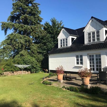 Pedersholt Bed & Breakfast Dybvad Zewnętrze zdjęcie